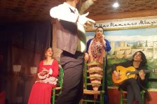 566 granada flamenco show